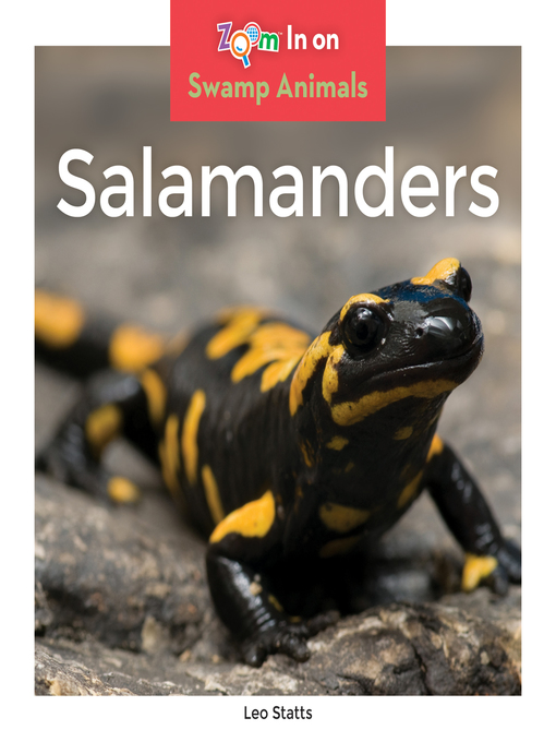 Cover image for Salamanders